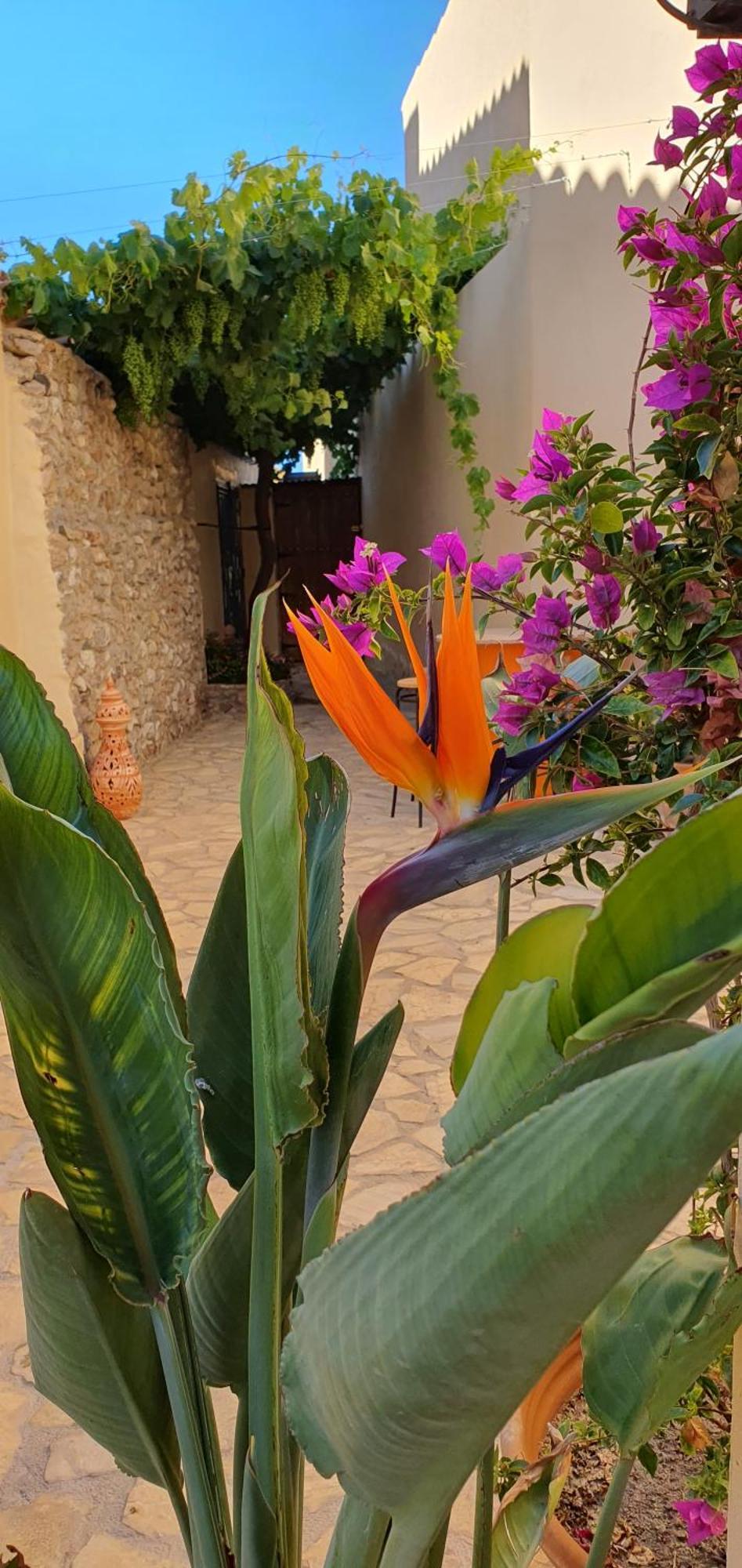 Apartmán El Jardin Secreto Oria Exteriér fotografie